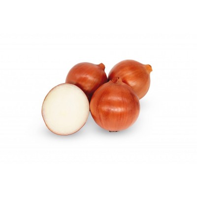 Magika F1 - насіння цибулі 250 000 нас., Cora Seeds
